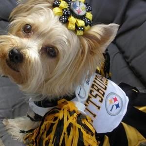 Meet your Posher, Ellie